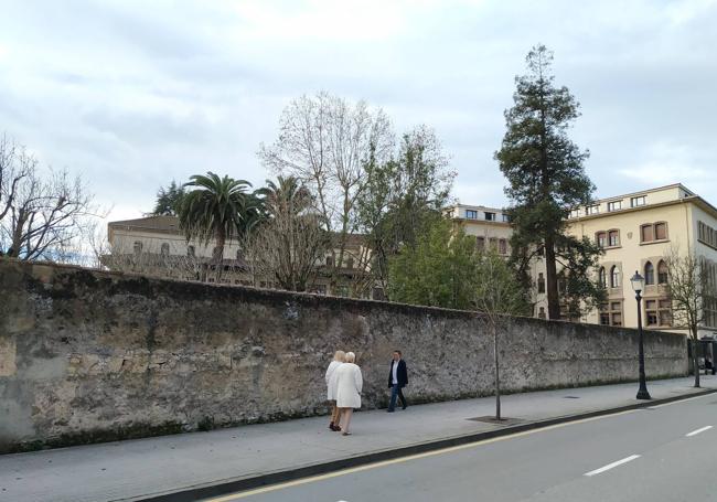 La dirección del colegio la Asunción fue avisada de que no le habían hecho bien el tratamiento de sus palmeras hace casi un año. El resultado es el mismo que las del centro de Gijón.