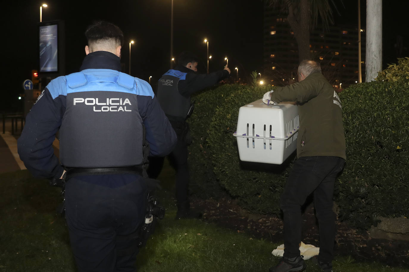 Detectan y extraen una nutria cerca del Tostaderu de Gijón