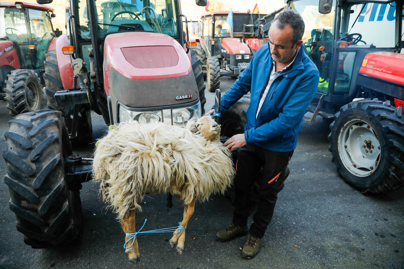 Movilización del campo asturiano: los tractores toman las carreteras