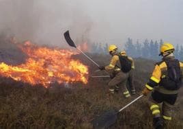 Efectivos de la BRIF de Tineo, en el incendio de La Rebollosa.