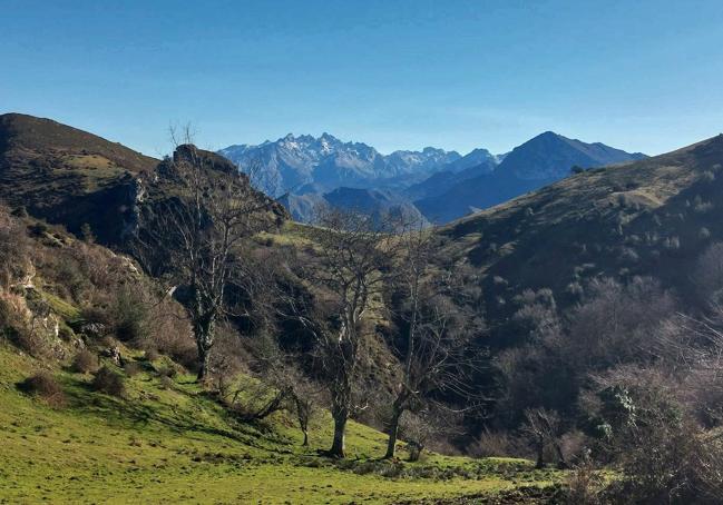 Numerosas majadas y colladas forman parte también de este recorrido, sembrado de verdes alfombras en las que sentarse a mirar el paisaje