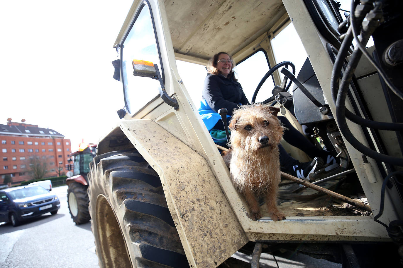 Tractorada en Asturias: las imágenes que deja la protesta del campo asturiano