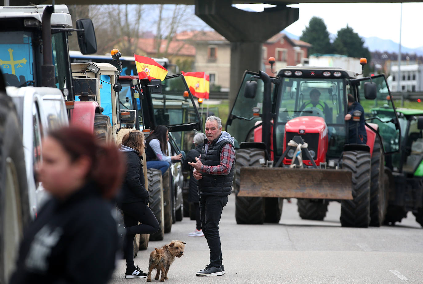 Tractorada en Asturias: las imágenes que deja la protesta del campo asturiano