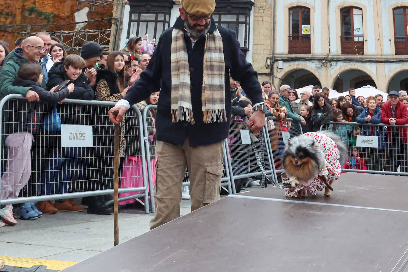 Las mascotas se disfrazan en Avilés