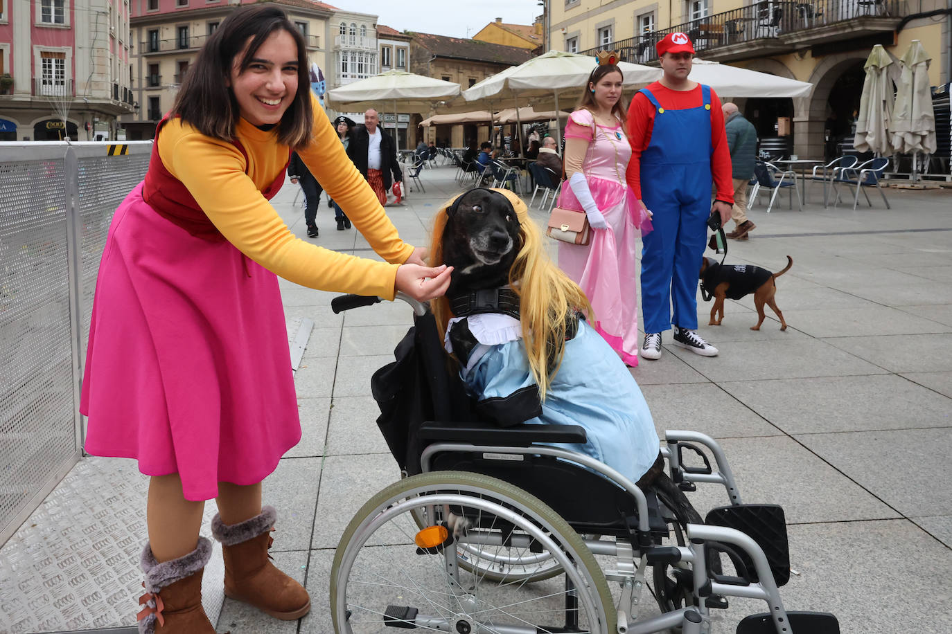 Las mascotas se disfrazan en Avilés