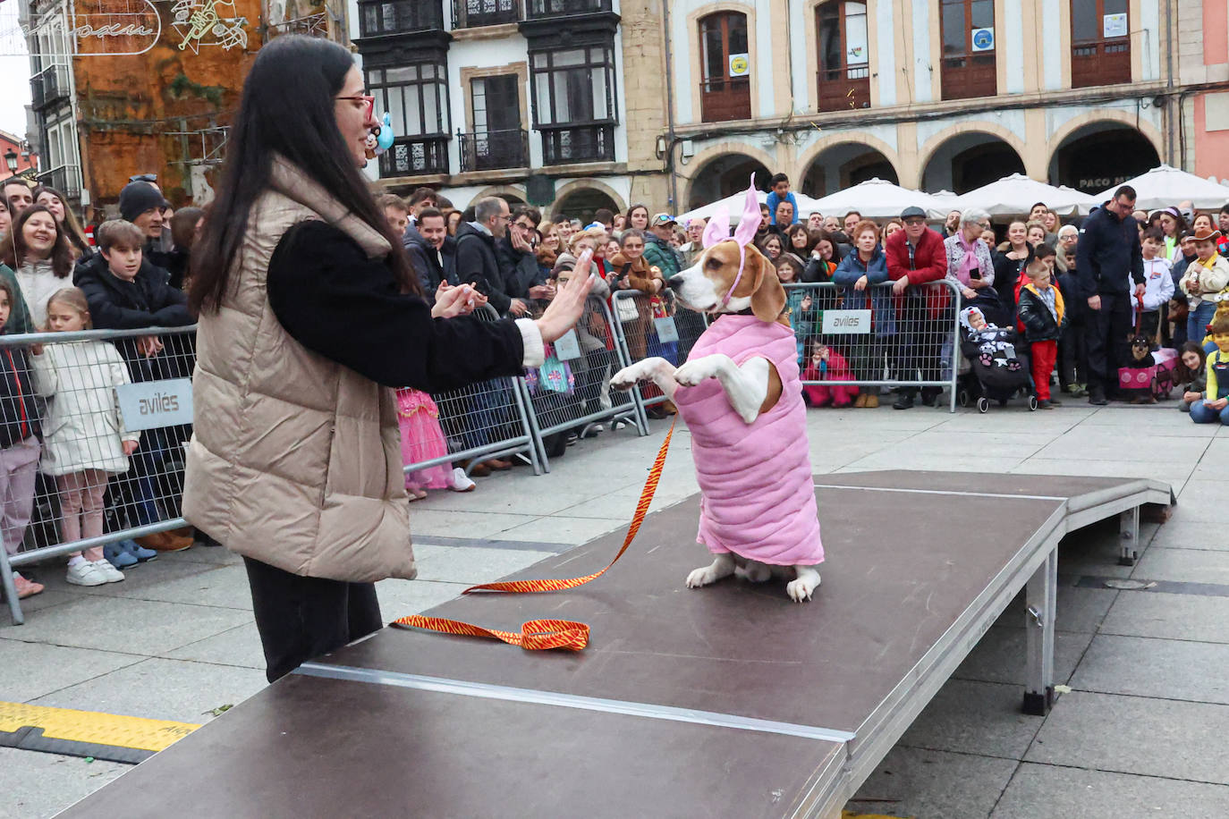 Las mascotas se disfrazan en Avilés