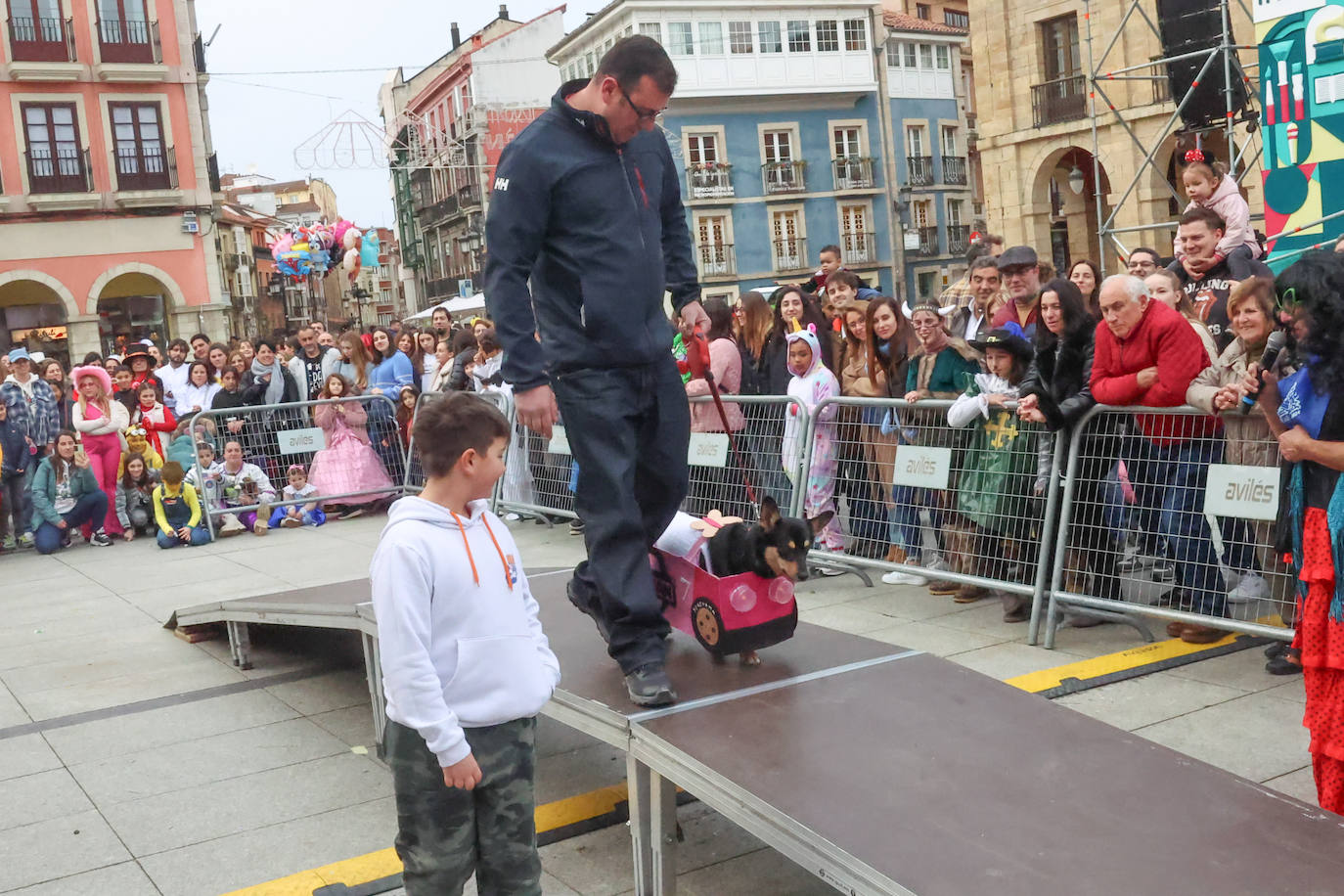 Las mascotas se disfrazan en Avilés