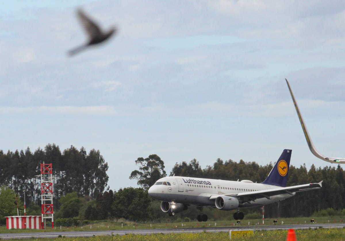 Un avión de Lufthansa, en la pista del aeropuerto.