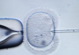 Asturias duplica los ciclos de fertilidad in vitro y llega a 334 casos