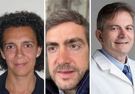 Los tres candidatos.