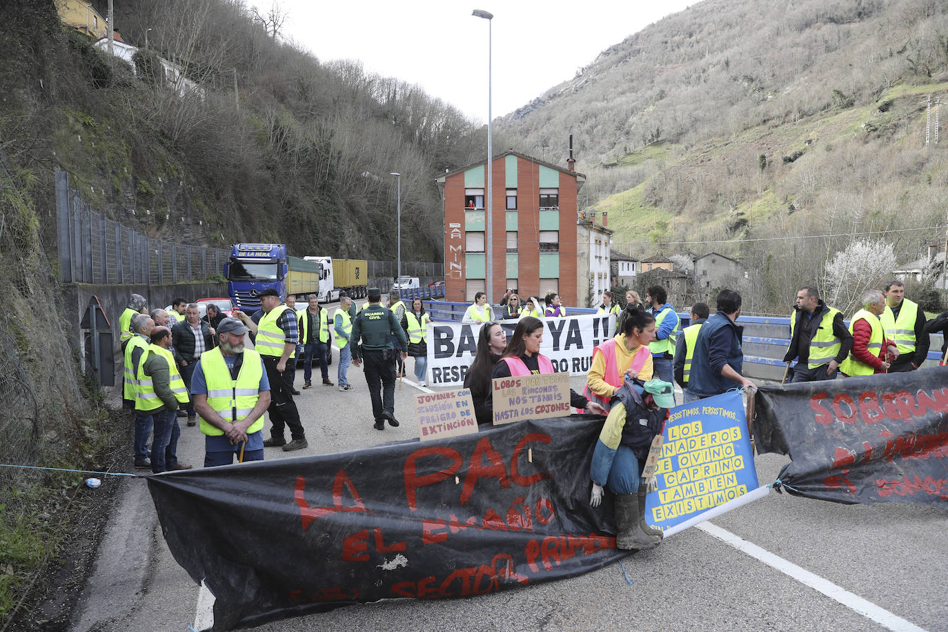 El campo asturiano clama por su supervivencia