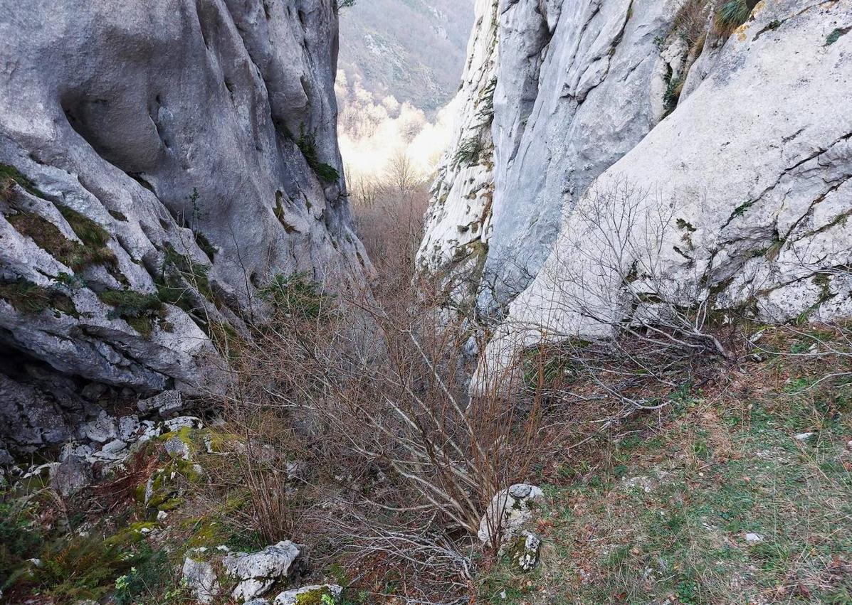 Imagen secundaria 1 - Requexón de Valdunes asomando entre las verticales paredes de la foz de Melordaña/ Estrechez empinada de la foz, desde arriba/ Subiendo la foz de Melordaña 