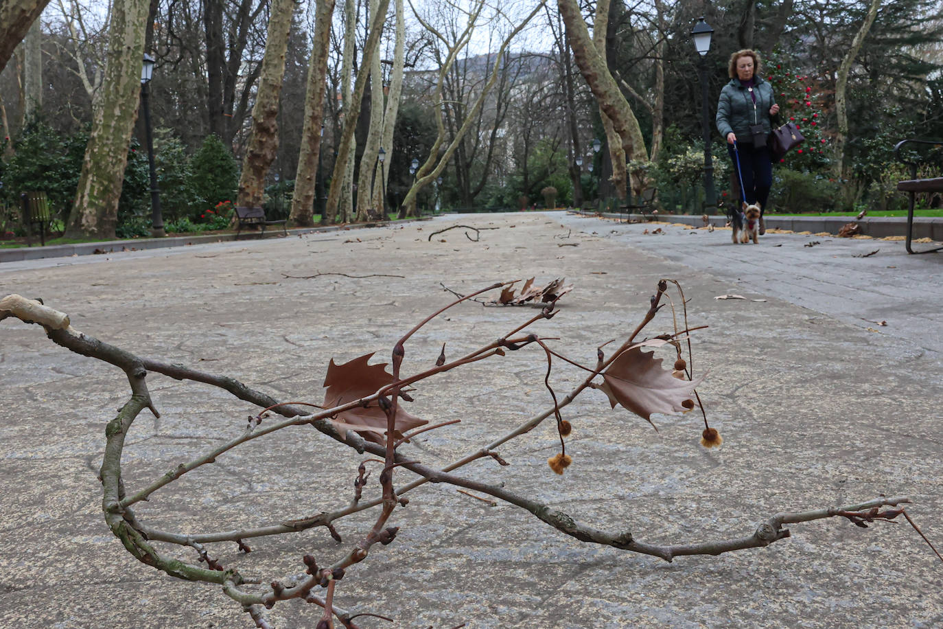 Temporal de viento y lluvia en Asturias: las imágenes de la borrasca &#039;Louis&#039;