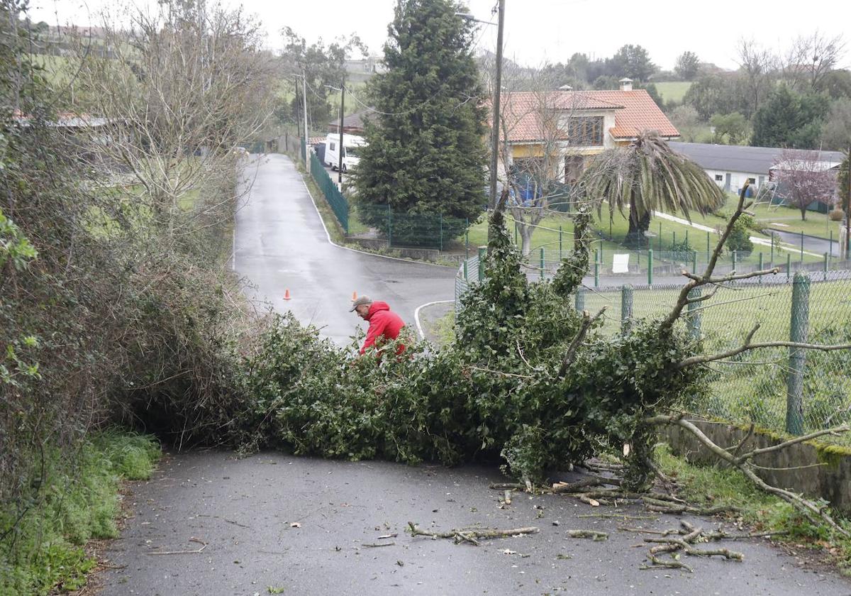 Temporal de viento y lluvia en Asturias: las imágenes de la borrasca &#039;Louis&#039;