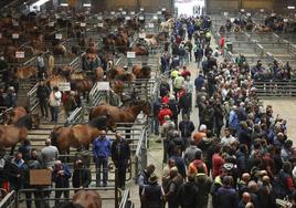 Jornada de mercado de ganado equino el pasado mayo, en las instalaciones polesas.