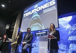 Alejandra Fiano, Alejandro Beneit y Ángela Pumariega, en la presentación de 'Tiburones'.