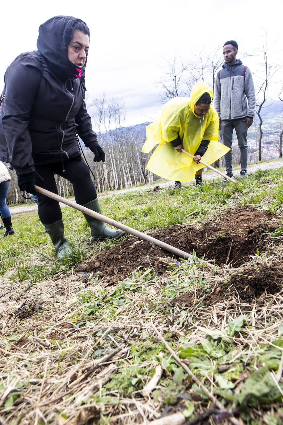 2.000 árboles para reforestar el Naranco tras el incendio