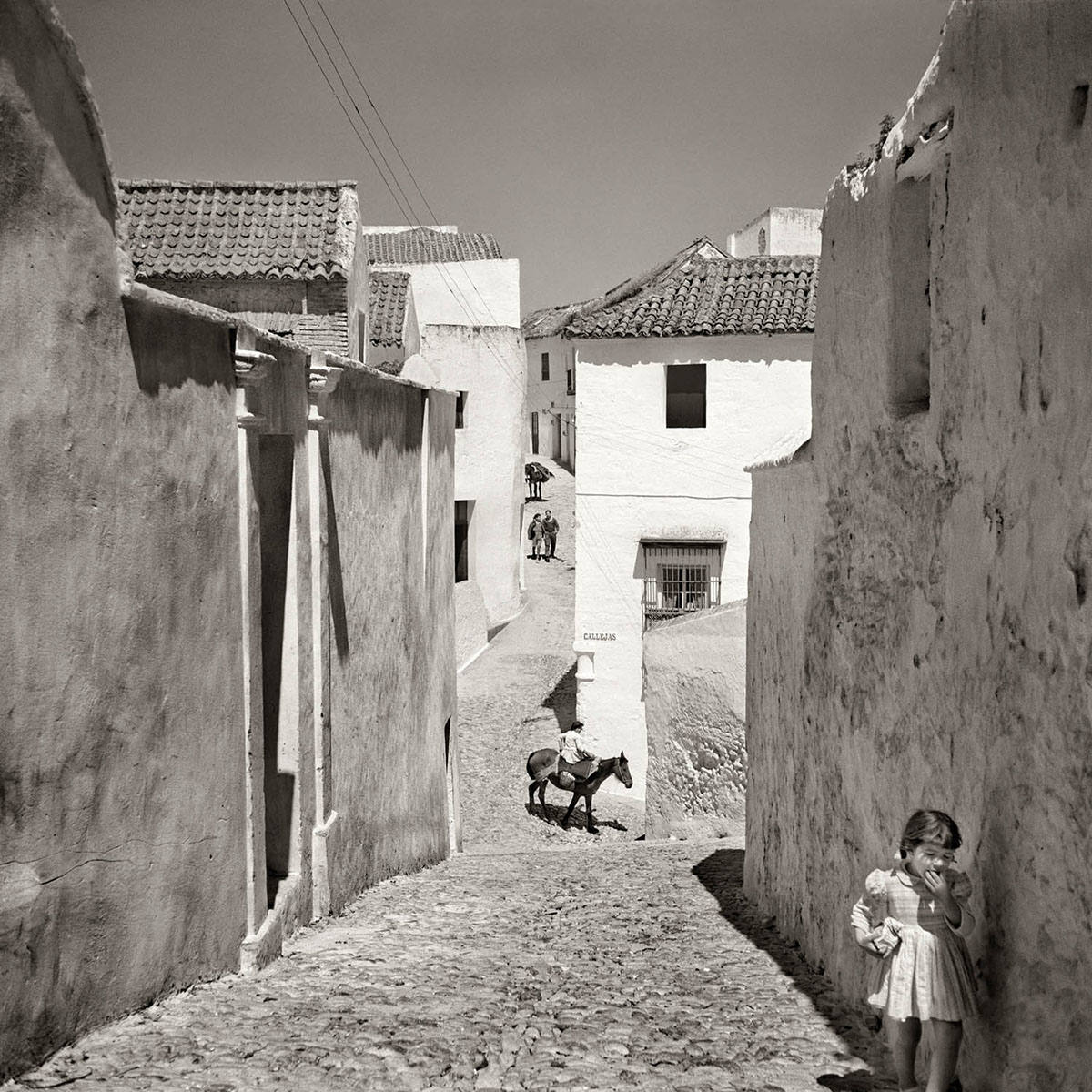 Vejer (1959).