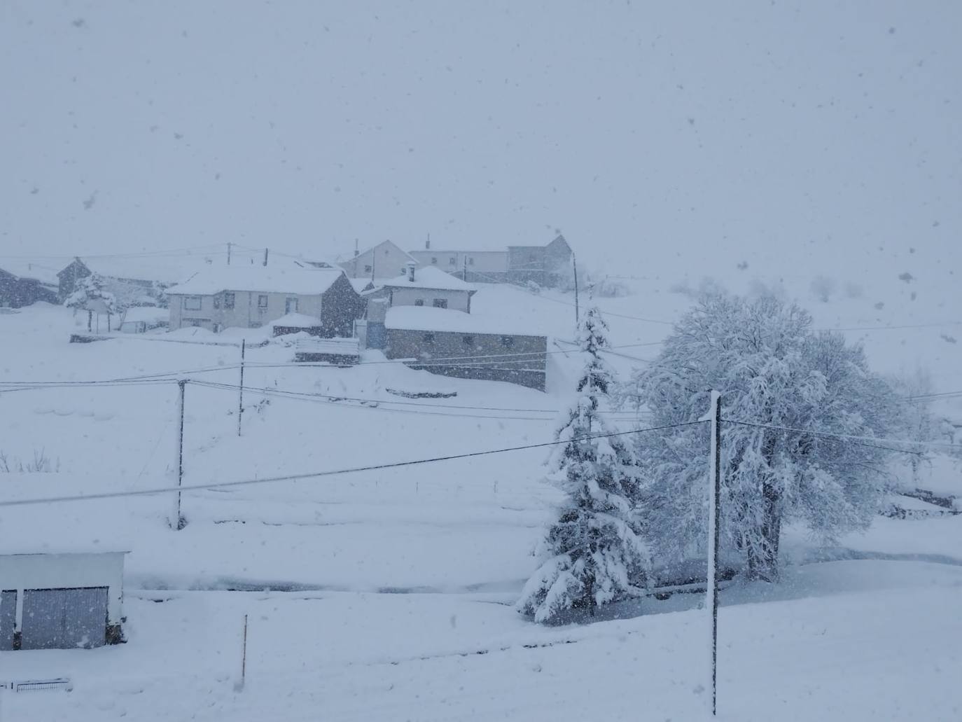 Lluvia, frío y nieve: las imágenes que deja el temporal en Asturias este sábado