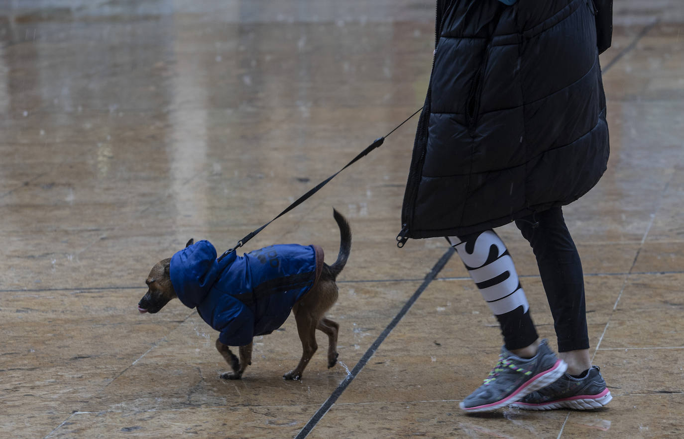 Lluvia, frío y nieve: las imágenes que deja el temporal en Asturias este sábado