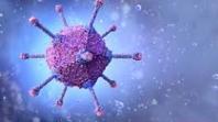 Adenovirus