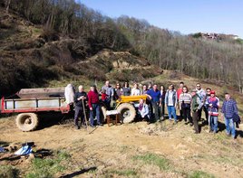 Participantes en la plantación de castaños en El Carbayu.