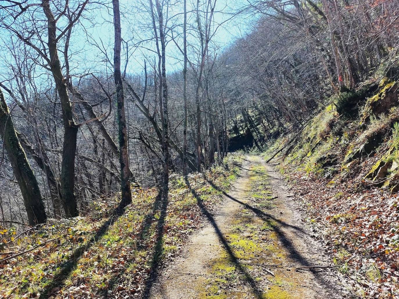 Imagen secundaria 1 - El bosque, las brañas, los regueros y ríos y el entorno rural cuidado acompañan en esta ruta por los alrededores de la cascada de Xurbeo 