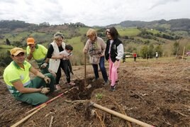 Las familias plantaron los árboles con ayuda de trabajadores de Emulsa.