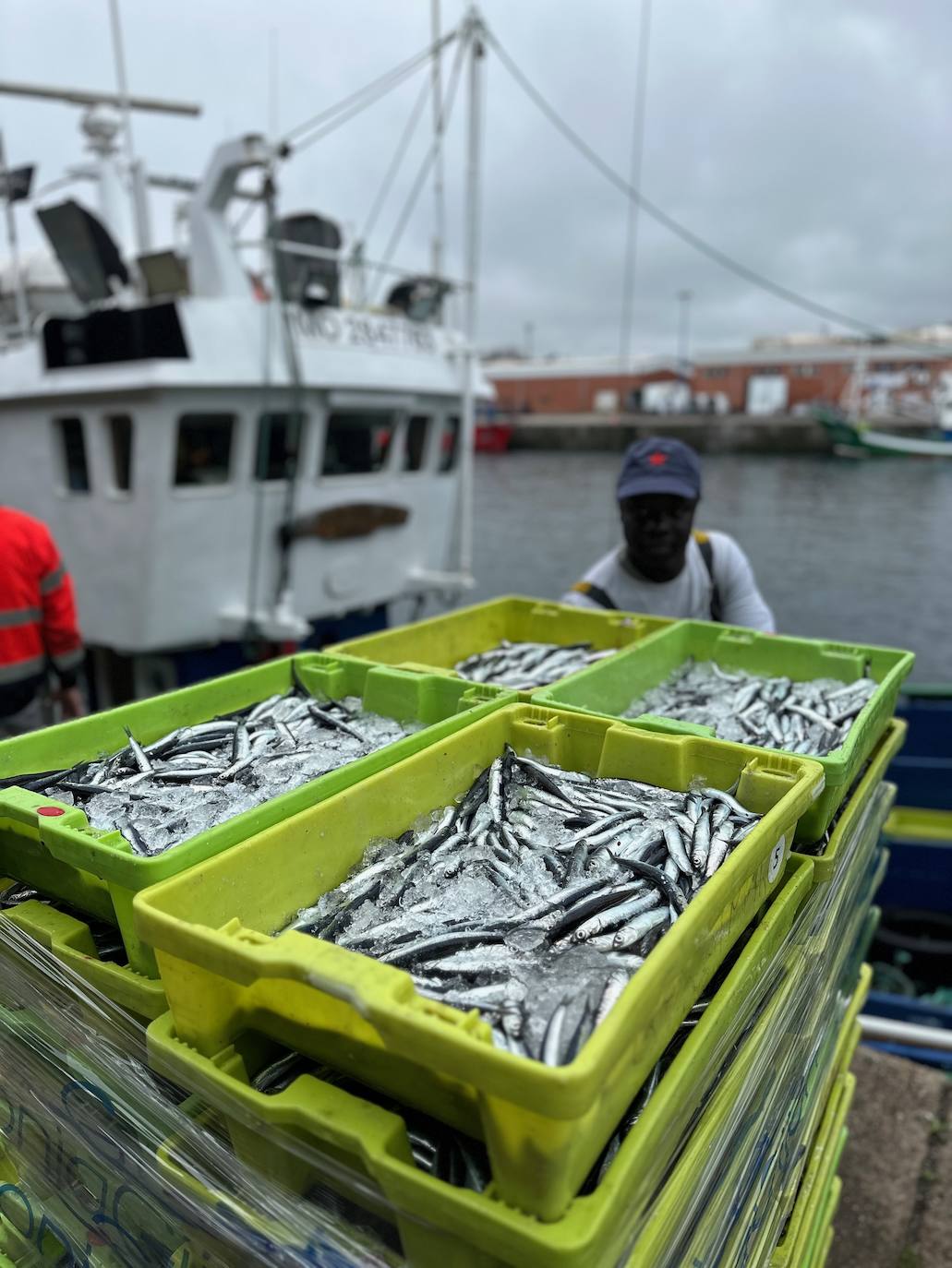 La primera gran &#039;bocartada&#039; de la temporada llega a Gijón