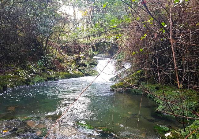 La senda de Samuel avanza por la espesura, siguiendo el cauce del río Guadamia hasta la playa del mismo nombre y hasta los Bufones de Pria