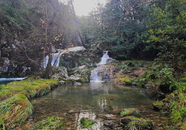 Una zona de pequeñas cascadas y agua clara en la Senda de Samuel, en la localidad llanisca de Llames de Pria