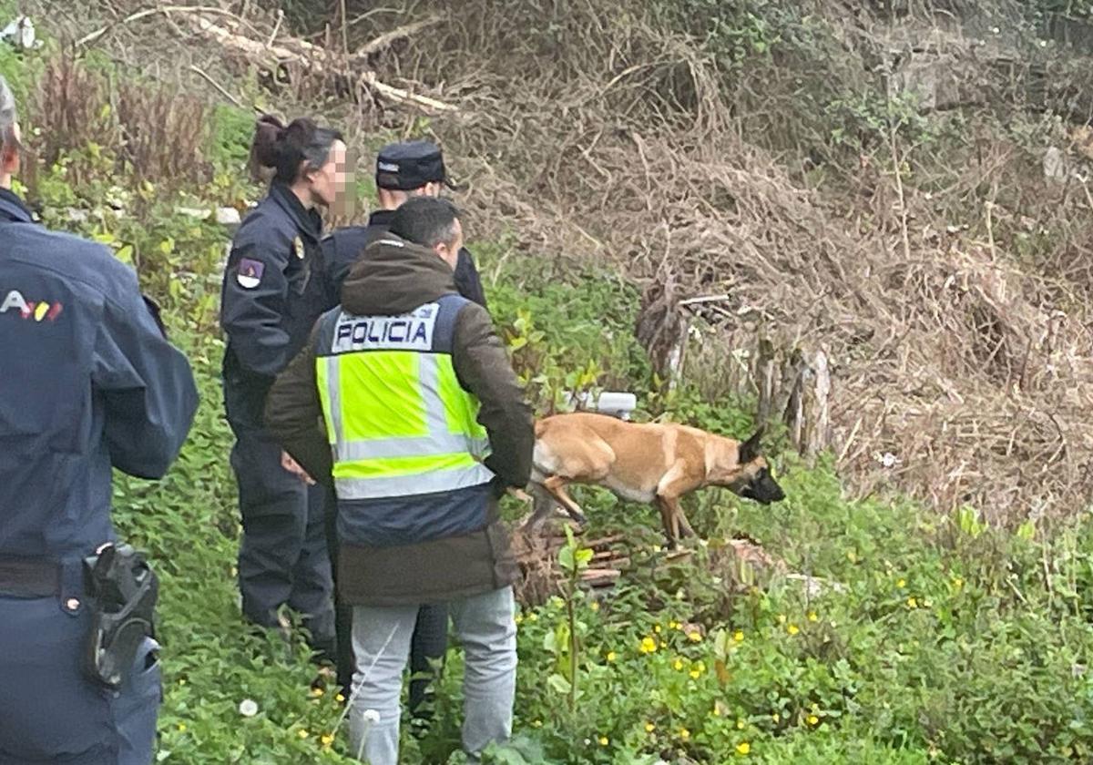 Los agentes, ayudados de perros especializados, peinaron la zona de La Felguera en busca de los restos del cadáver de la víctima.