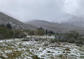 Nieve en el puerto de El Campillo.