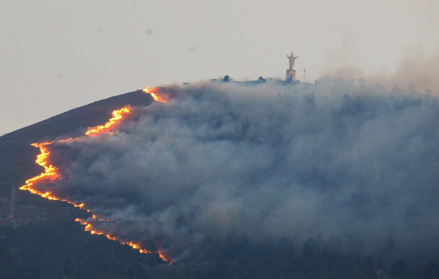 Llamas avanzando en el Monte Naranco, hace un año.