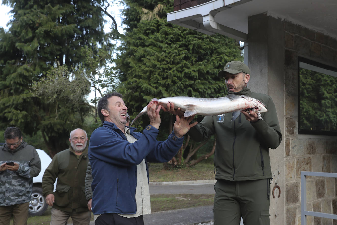 El campanu de Asturias sale en el río Narcea