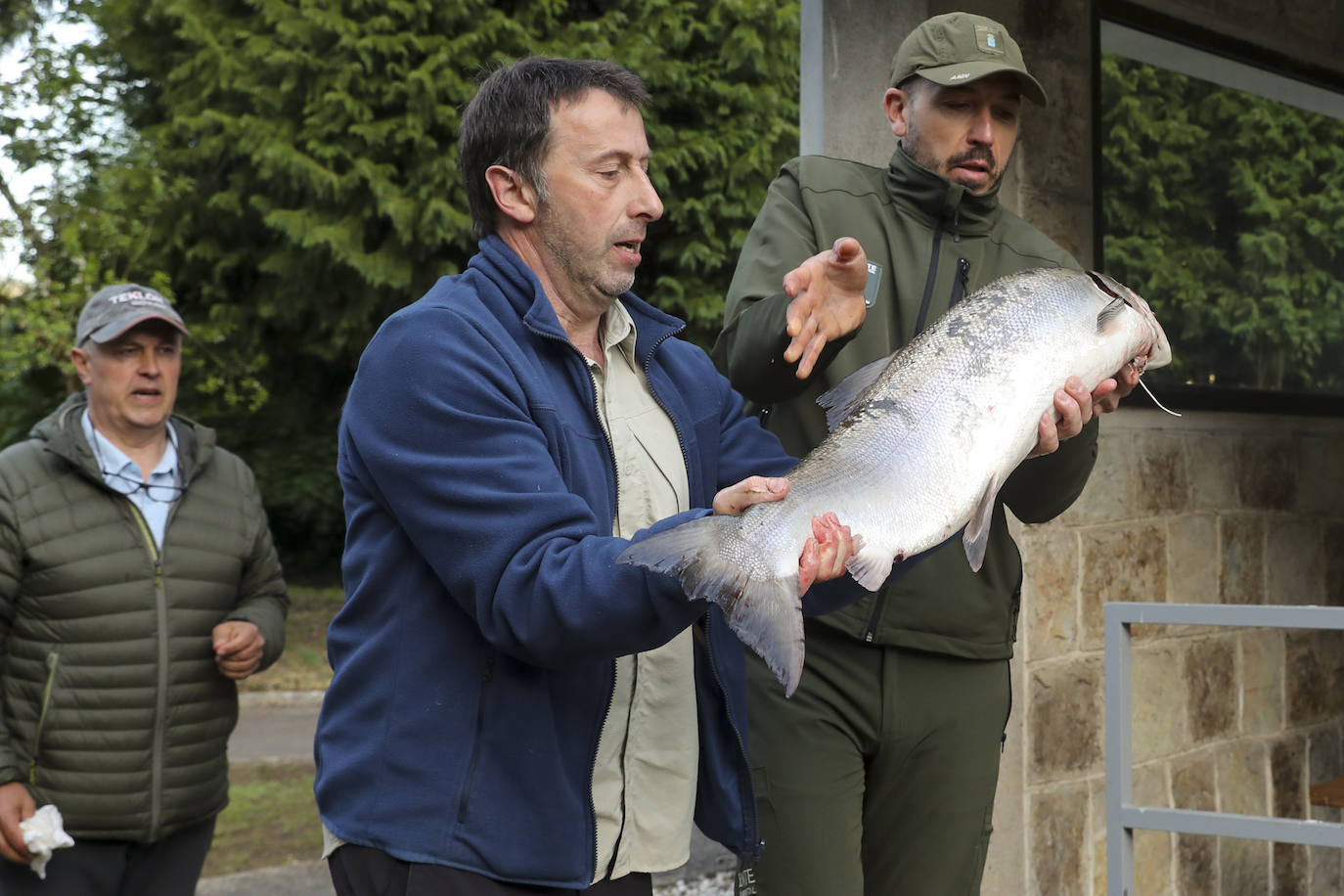 El campanu de Asturias sale en el río Narcea