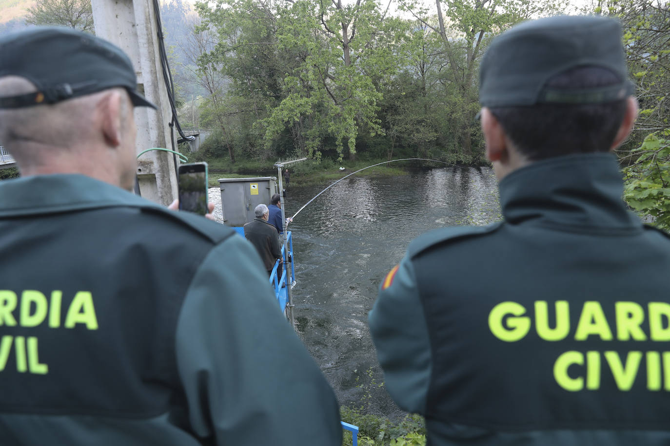 El campanu de Asturias sale en el río Narcea