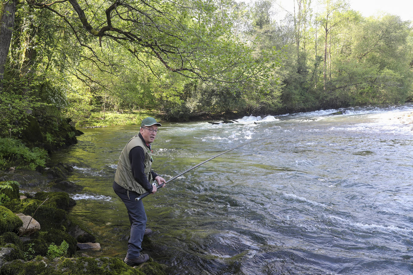 El campanu de Asturias sale en el río Narcea