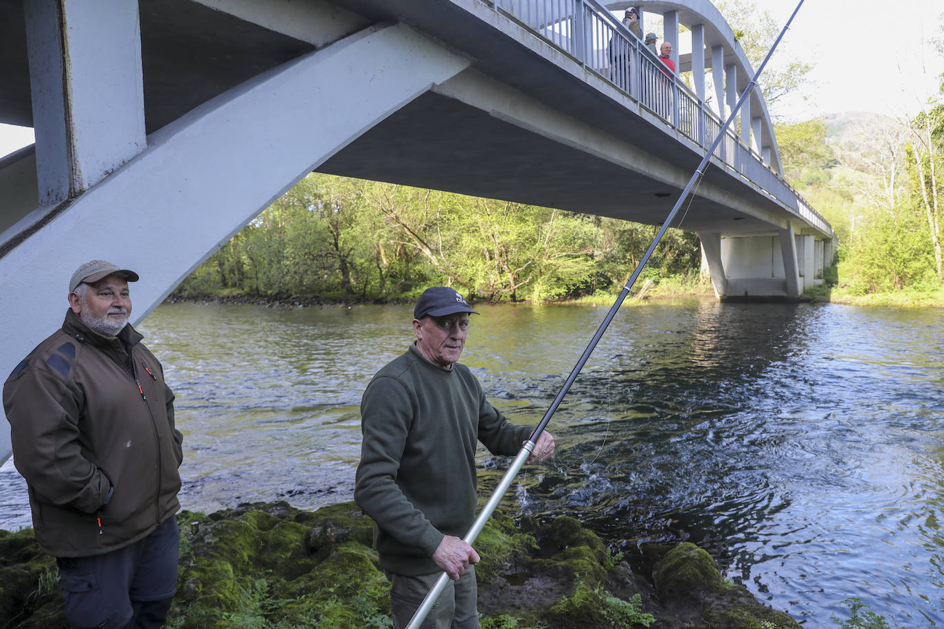 El campanu de Asturias sale en el río Narcea