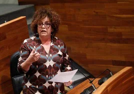La consejera de Derechos Sociales y Bienestar, Marta del Arco, en el pleno de la Junta General.