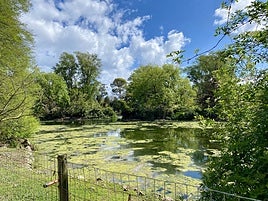 Aspecto del estanque mayor del parque Isabel la Católica.
