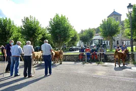 Varios ganaderos, en una de las ferias que se celebran en Benia de Onís, capital del concejo con mayor proporción de extranjeros.