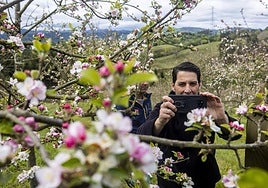 Un paseo entre los manzanos en flor de Asturias