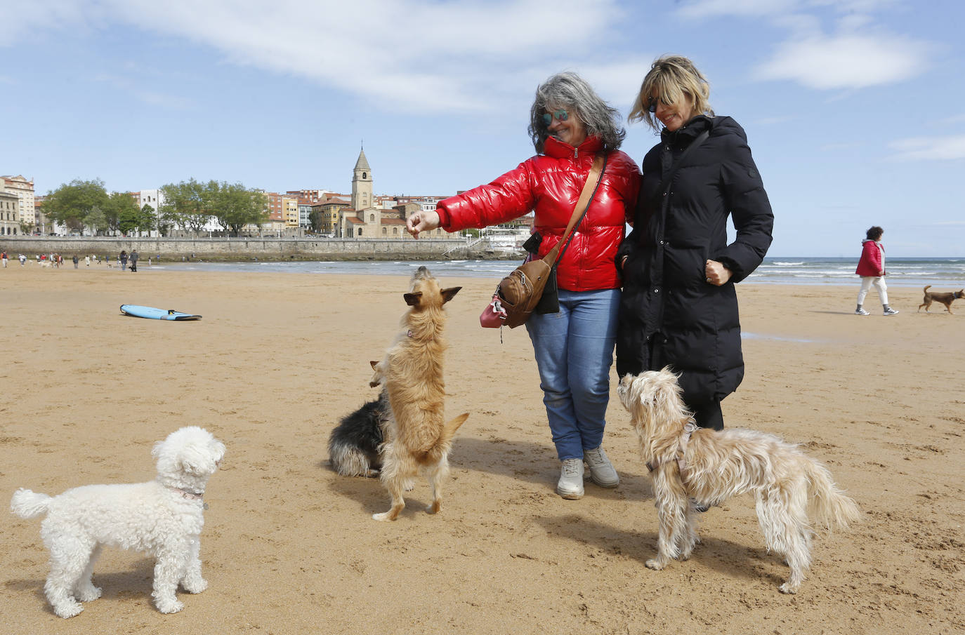 Los perros se despiden de San Lorenzo