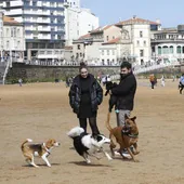 Los perros disfrutaron del último domingo en San Lorenzo antes de la temporada de baños.