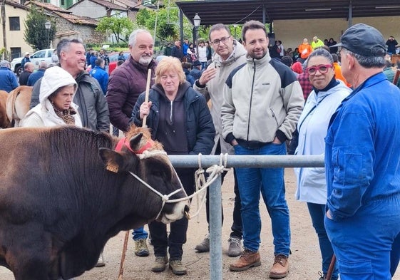 Álvaro Queipo, el pasado fin de semana, en la feria de ganado de Proaza.