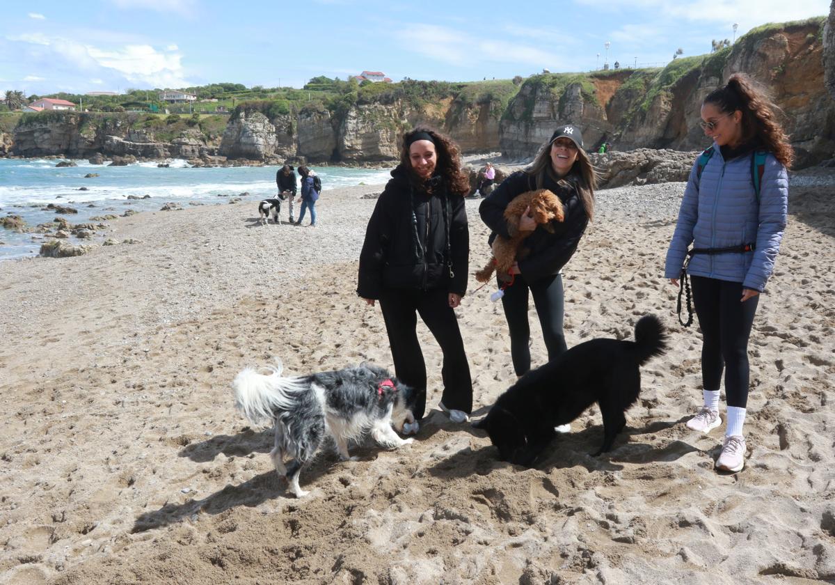 Los perros en Gijón, de vuelta en El Rinconín