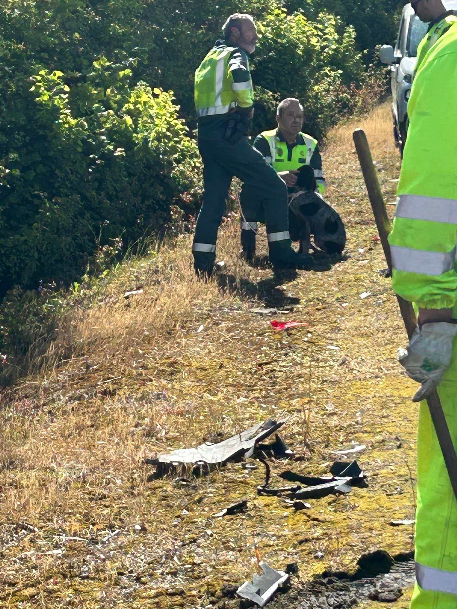 Susto en la A-64, a la altura de Parque Principado, por un perro desorientado