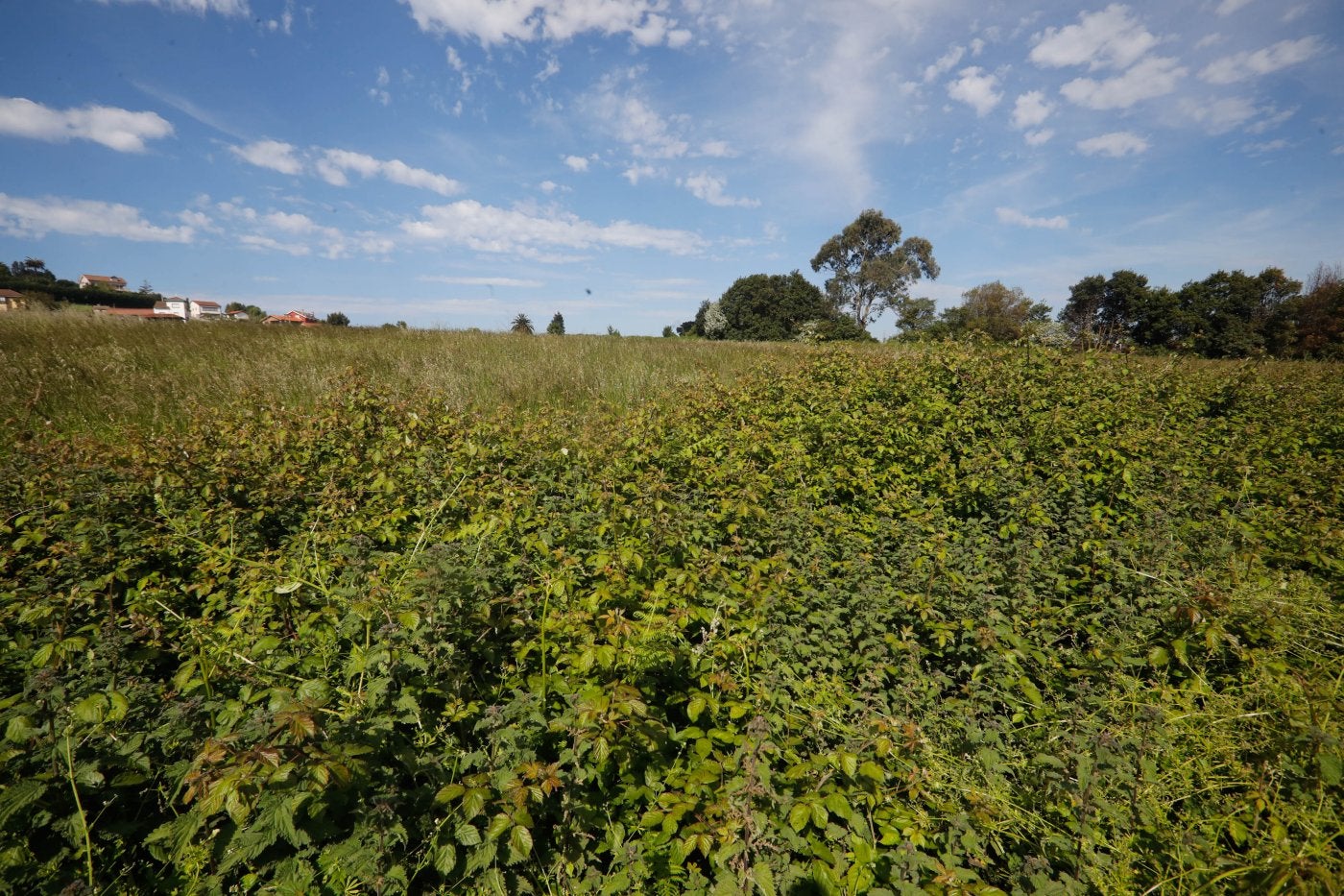 Terrenos del proyecto de Ecojove que el Ministerio de Transportes necesita expropiar para su ocupación temporal cuando haga el vial de Jove.