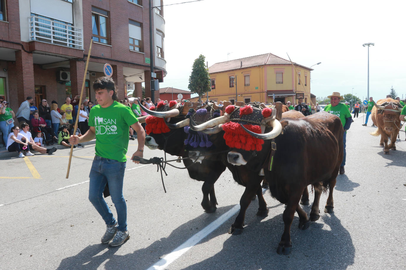 Llenazo en Llanera por la Feria del Ganado